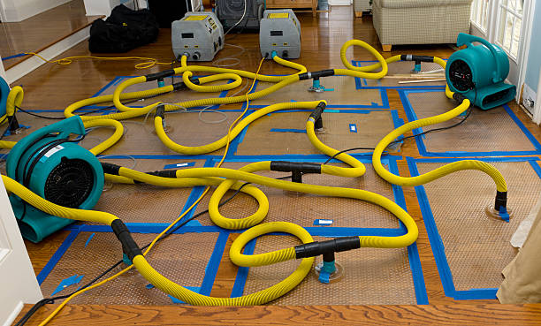 Professional Crawl Space Water Removal technician working in Fletcher, MO
